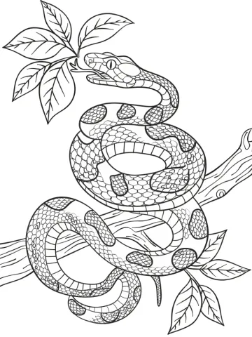 Coloriage d'un serpent décoratif à écailles enroulé autour d'une branche