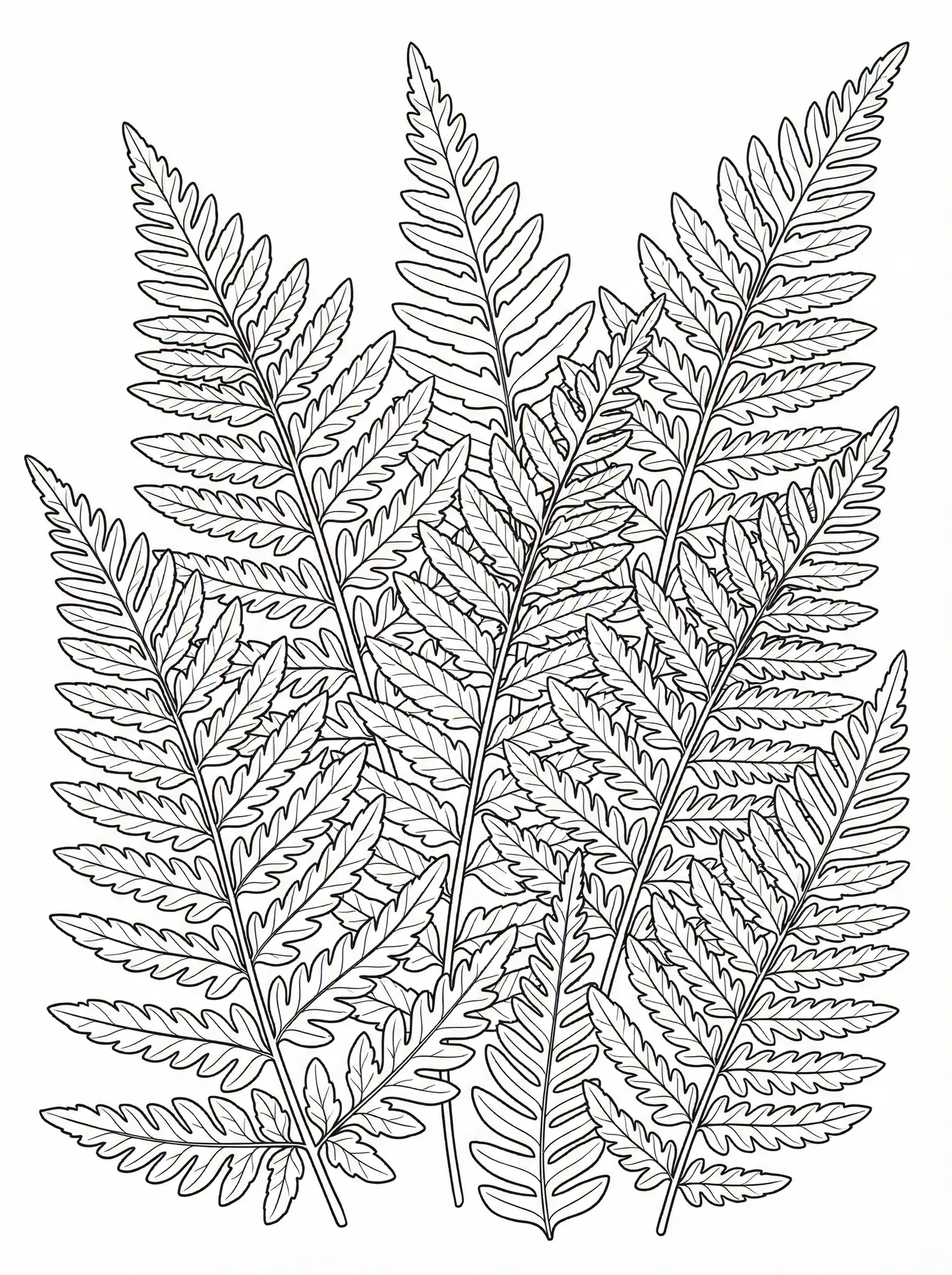 Fougères - pack Nature & Fleurs