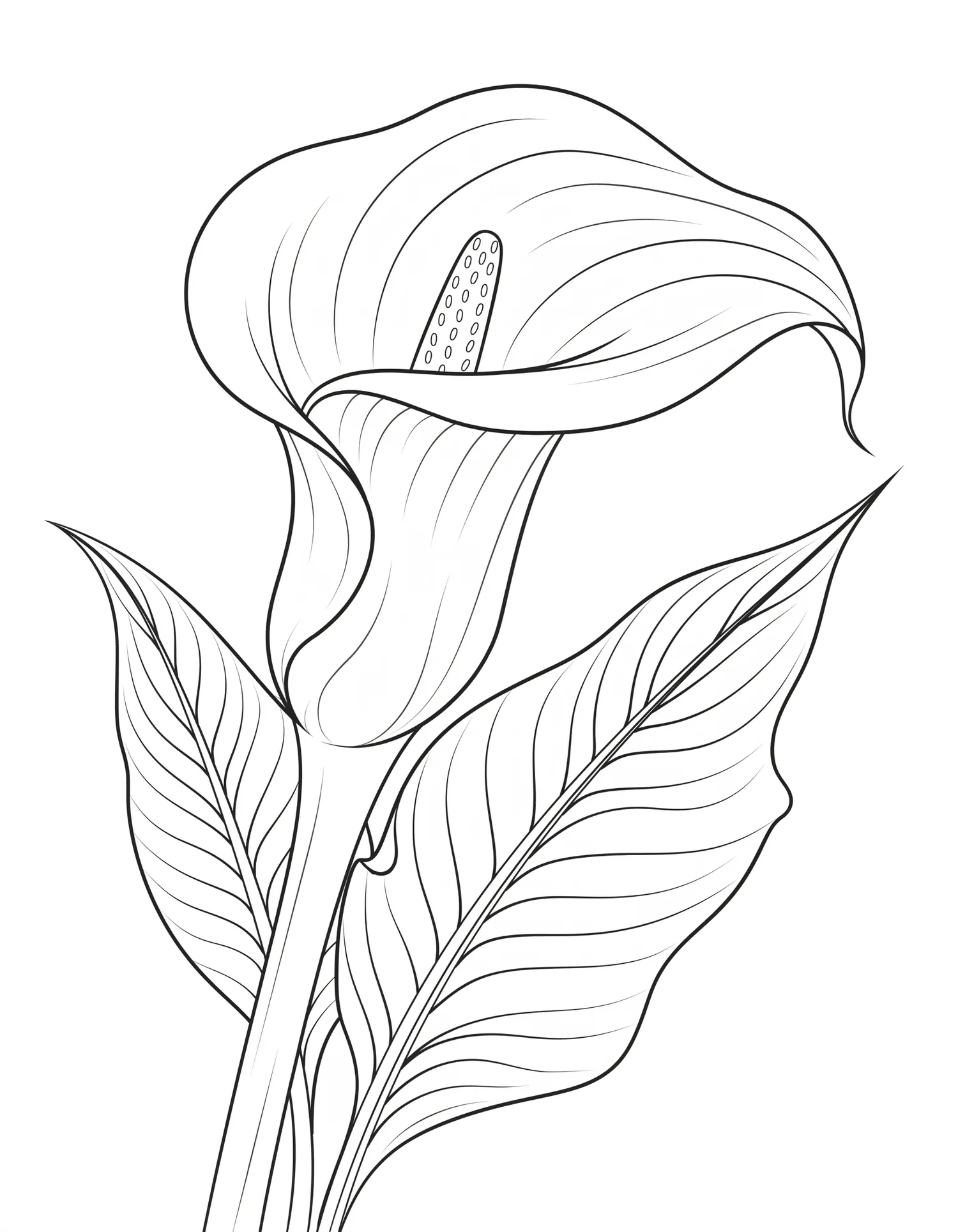 Calla Lily Élégante Spirale — Coloriage fleur à imprimer gratuitement