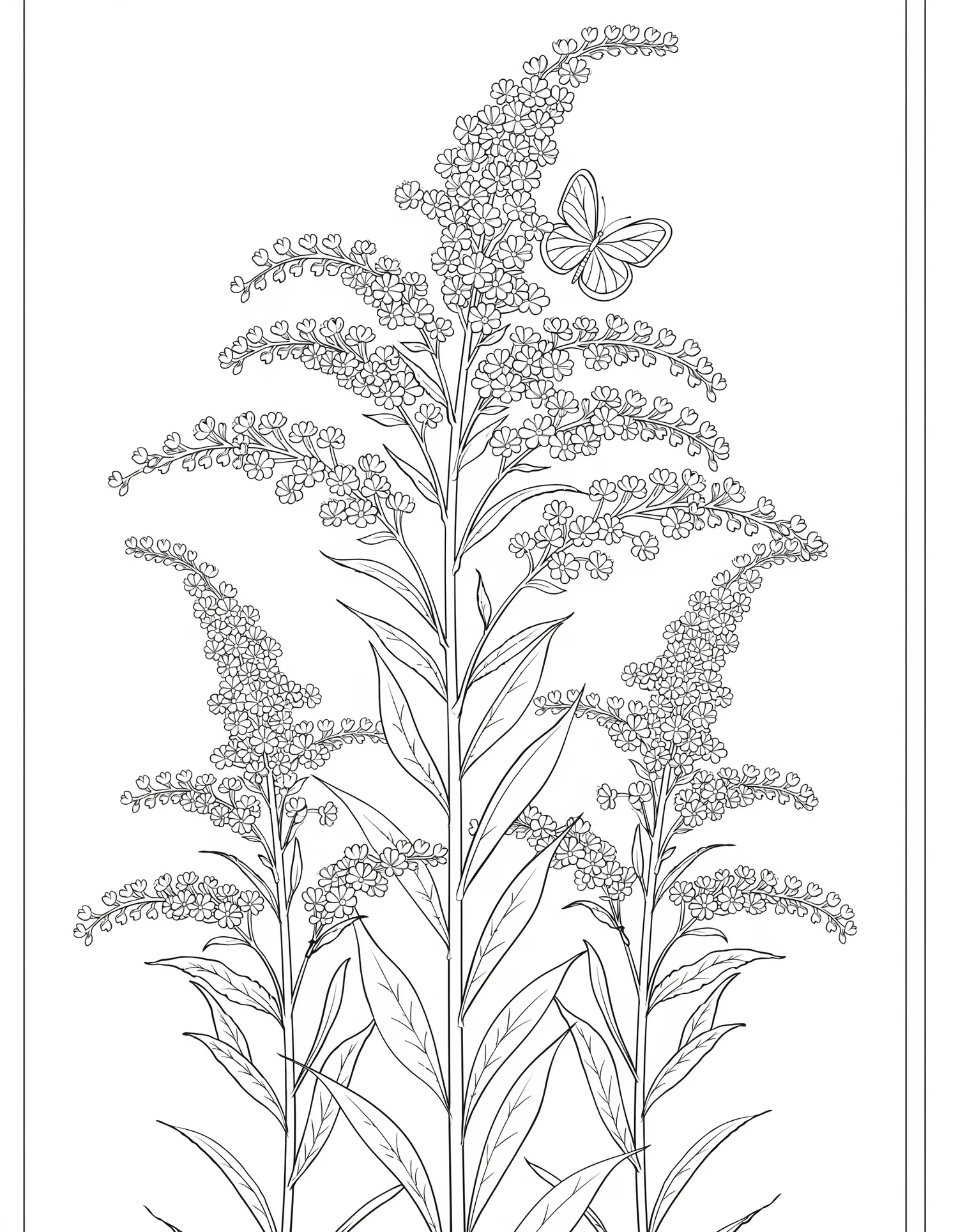 Verge d'Or en Plumes Dorées — Coloriage fleur à imprimer gratuitement