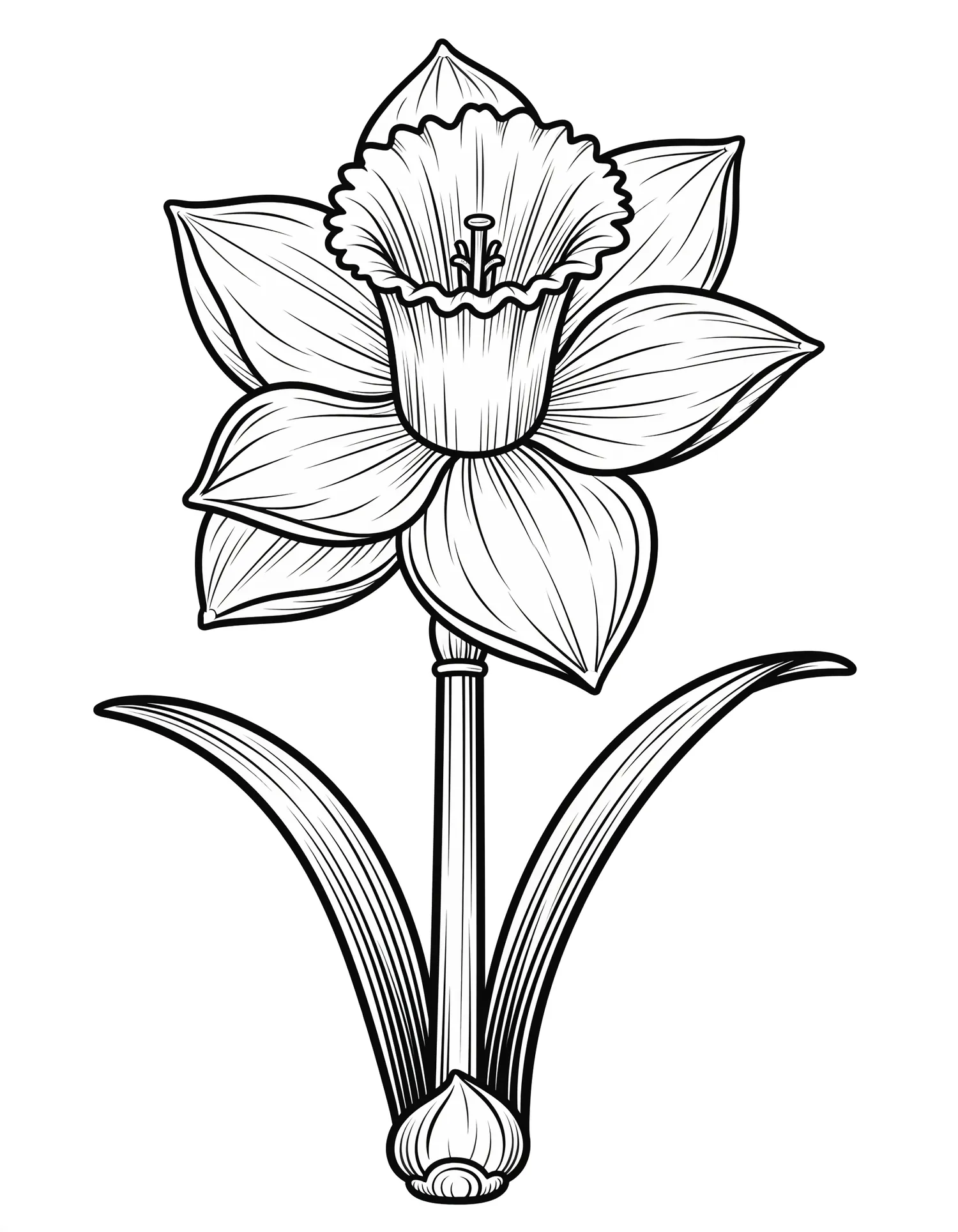 Narcisse Trompette — Coloriage fleur à imprimer gratuitement